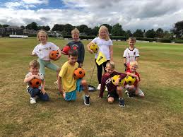 Image result for Steeton Cricket Club