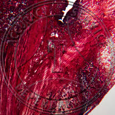 Attēlu rezultāti vaicājumam “Cerasus leaf”