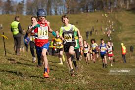 Image result for Alnwick Harriers