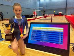 Image result for North Devon Display Gymnastics Club