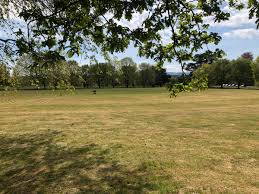 Image result for Peper Harow Cricket Club