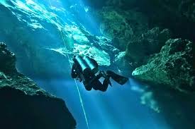 Image result for Aztec Divers
