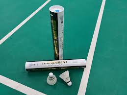 Image result for Shuttlecocks Badminton Club