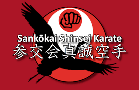Image result for Nottingham Sankukai Karate