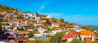 Risultati immagini per pedolesbo