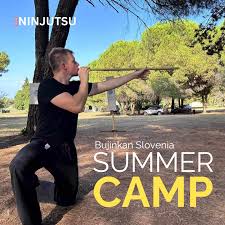 Image result for M-S-N Ninjutsu (Bujinkan) Club