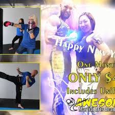 Image result for Awesome Martial Arts Training Center