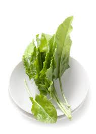 Image result for Sauerampfer