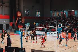 Image result for Tendring Volleyball Club