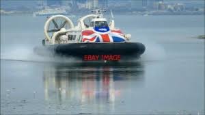 Attēlu rezultāti vaicājumam “Badhamia lilacina sessile”