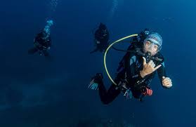Image result for Deep Blue Diving