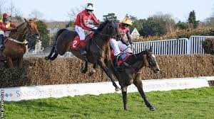 Image result for Sandown Sports Club