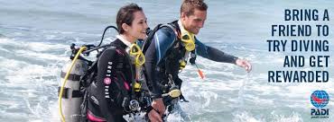 Image result for Great Western Divers