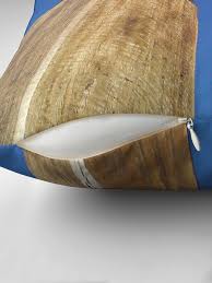 Image result for brett whiteley almost once