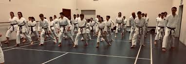 Image result for Haslemere Karate Club