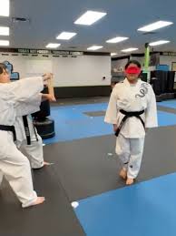 Image result for IXL Martial Arts