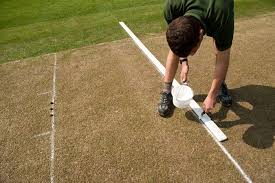 Image result for Pitch marking blog