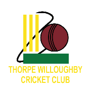 Image result for Thorpe Green Cricket Club