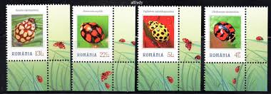 Attēlu rezultāti vaicājumam “Sospita vigintiguttata”