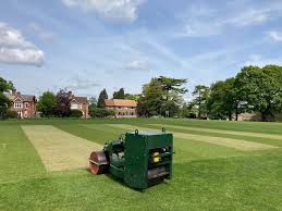 Image result for Shalford Cricket Club