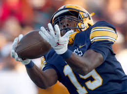 Image result for Midland Vikings