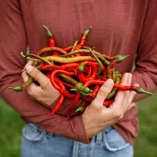 Afbeeldingsresultaat voor turkish cayenne hot pepper