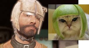 Image result for limecat
