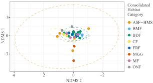 Attēlu rezultāti vaicājumam “Oligonema flavidum sessile”