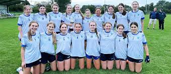 Image result for Erin`s Own Gaelic Athletic & Social Club