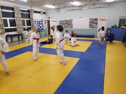 Image result for Felixstowe Judo club