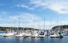 Image result for Halifax Canoe Club