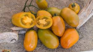 Afbeeldingsresultaat voor earl faux tomato