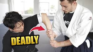 Image result for Basingstoke Aikido Club