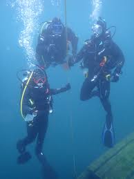 Image result for Blue Water Diving