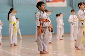 Image result for North Yorkshire Goju Ryu Karate Club