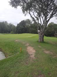 Image result for Tulliallan Golf Club