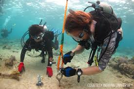 Image result for Reading University Sub Aqua Club