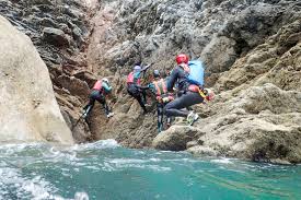 Image result for Combe Martin A F C