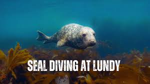 Image result for Leicester Underwater Exploration Club