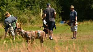 Image result for Chessington Bowmen