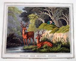 Image result for Shooting, Hunting, Fieldsports on Art prints from 1700's to 1900's