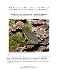 Attēlu rezultāti vaicājumam “Cribraria oregana spores”