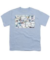 Attēlu rezultāti vaicājumam “Physarum bivalve young”