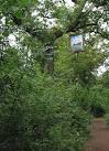 ST8489 : Footpath through Silk Wood in late summer - via Daymix