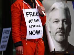 Image result for julian assange
