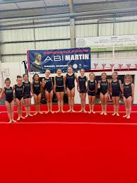 Image result for Exeter Gymnastics Club
