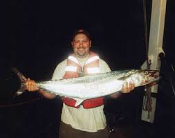 Image result for Scomberomorus cavalla