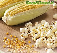 Image result for Mais