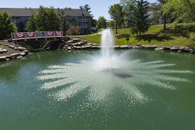 Image result for Woolmers Park Polo Club