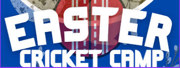 Image result for Theale and Tilehurst Cricket Club